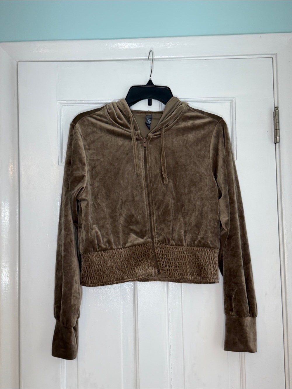 Francesca's Collections Velour Hoodie in Brown